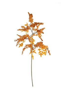 Botanica #3498 Botanica #3498