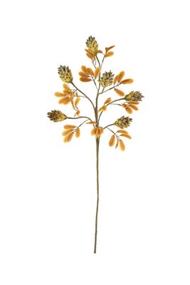 Botanica #3504