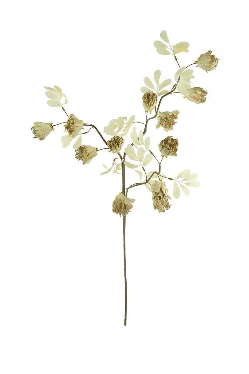 Botanica #3510 Botanica #3510