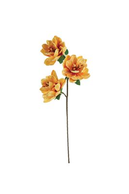 Botanica #3514 Botanica #3514