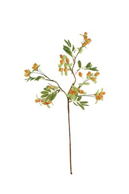 Botanica #3516