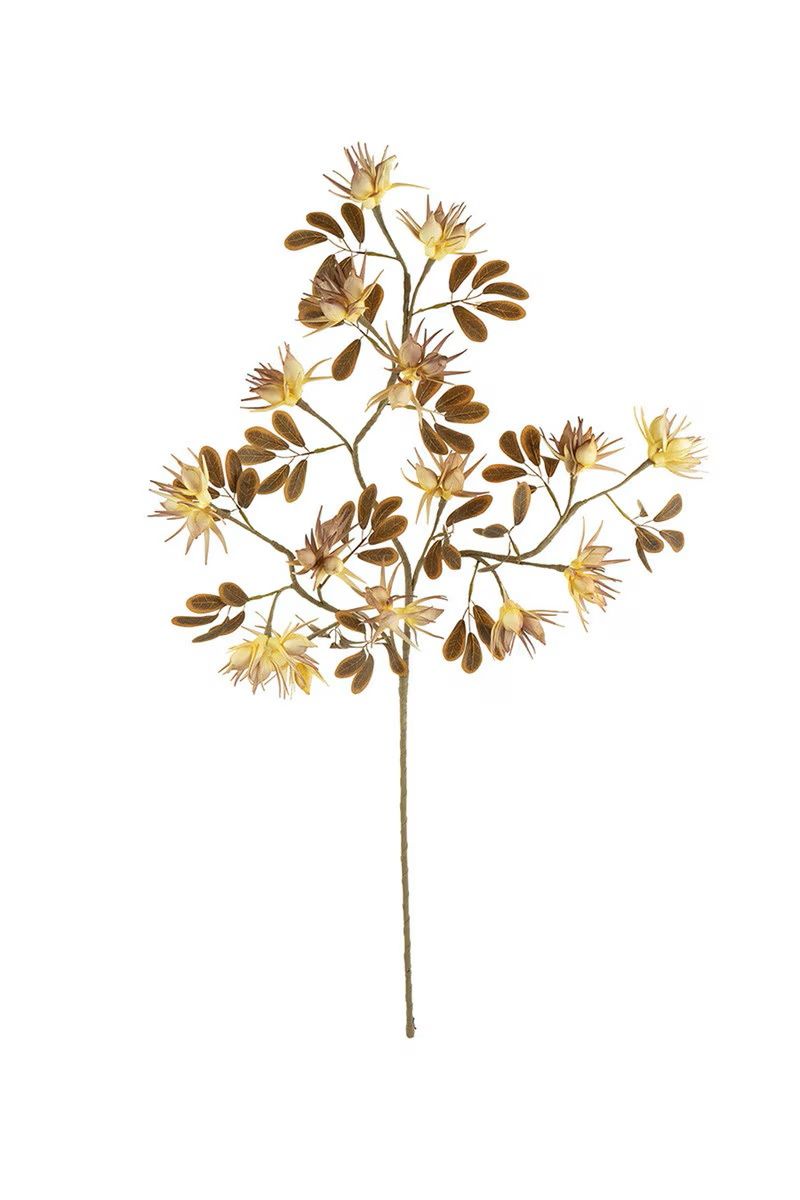 Botanica #3499 Botanica #3499