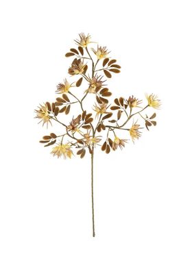 Botanica #3499