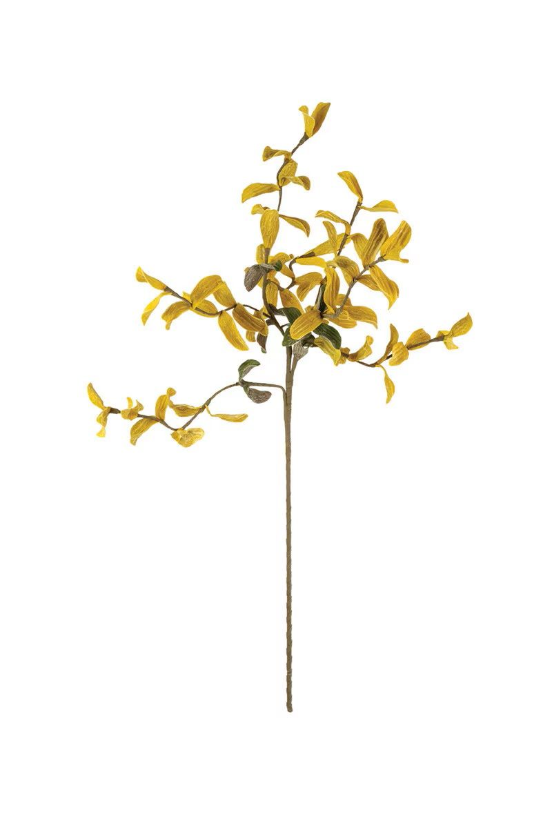 Botanica #3538 Botanica #3538