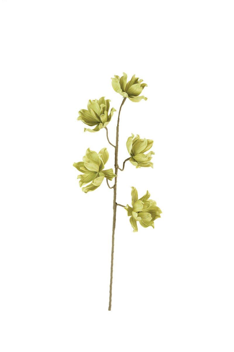 Botanica #3560 Botanica #3560