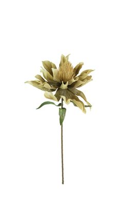 Botanica #3540