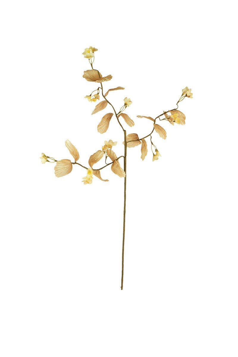 Botanica #3536