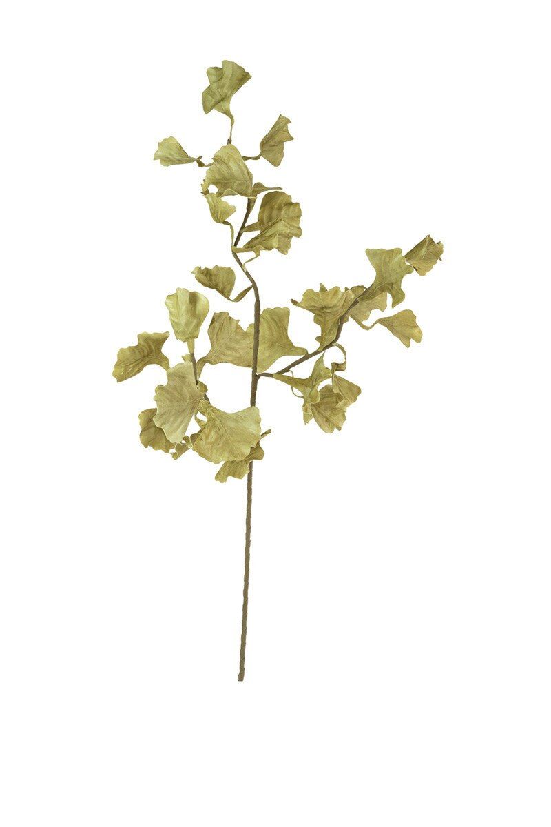 Botanica #3558