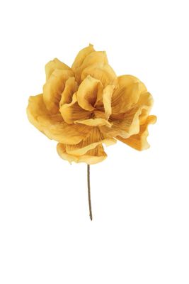 Botanica #3552