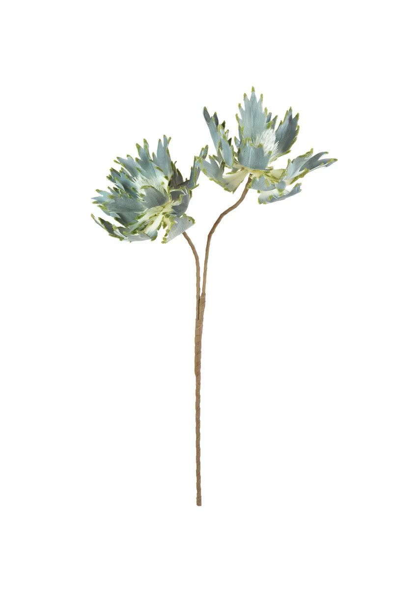Botanica #2541