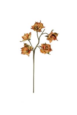 Botanica #2662 Botanica #2662