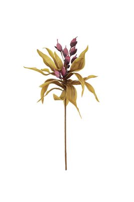 Botanica #2668 Botanica #2668