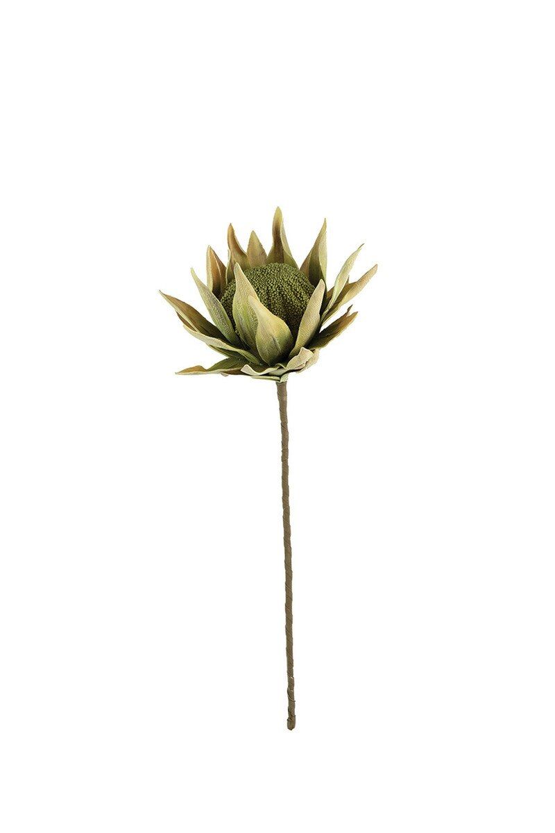 Botanica #2715