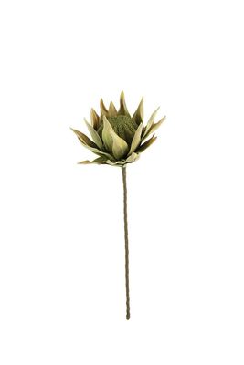 Botanica #2715