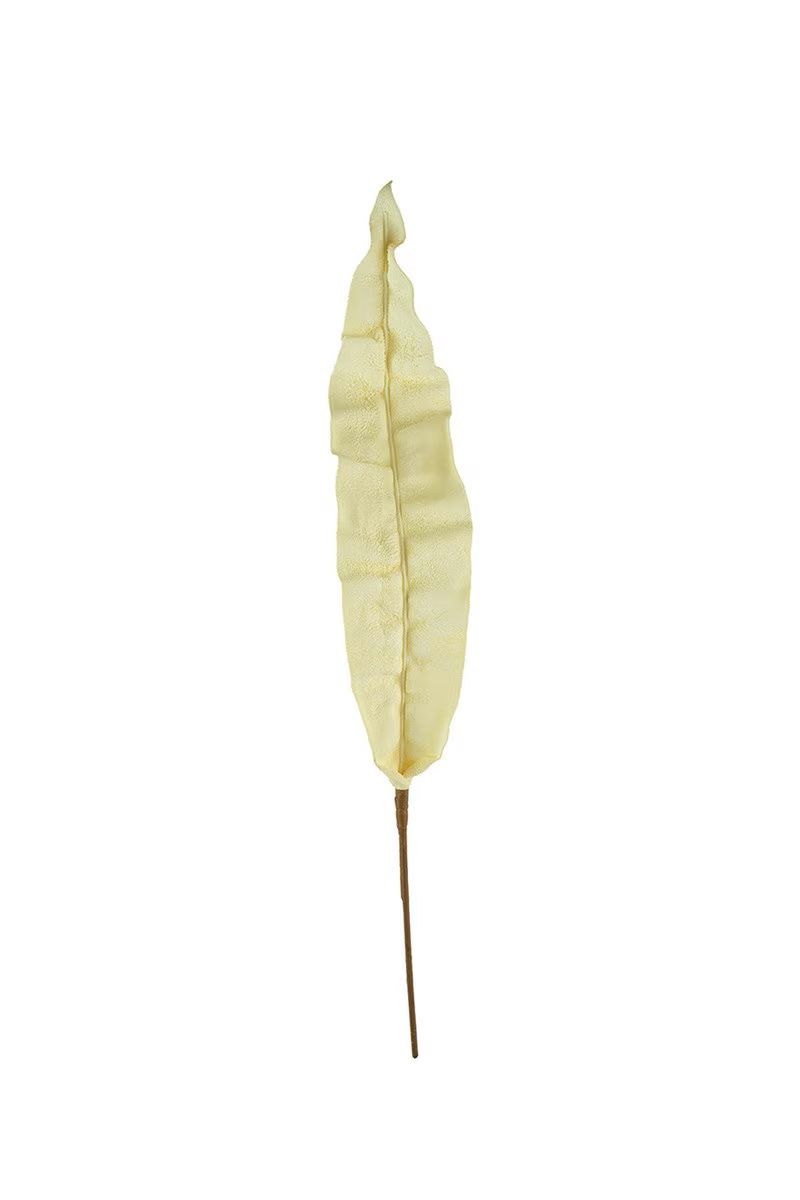 Botanica #2739