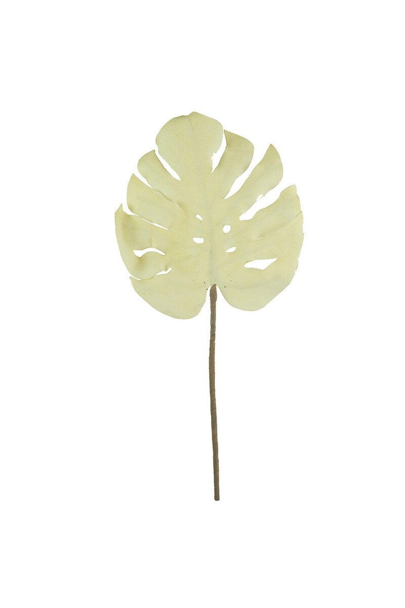 Botanica #2738