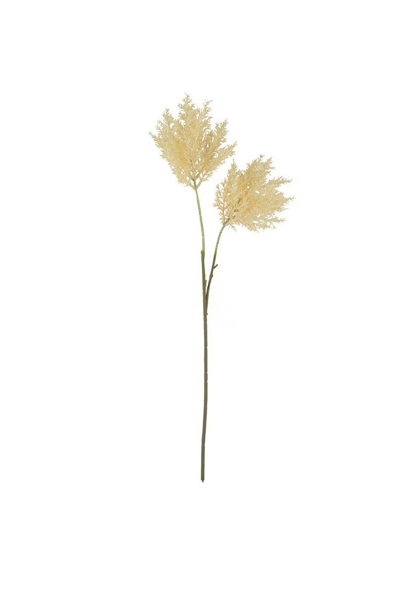 Botanica #2744