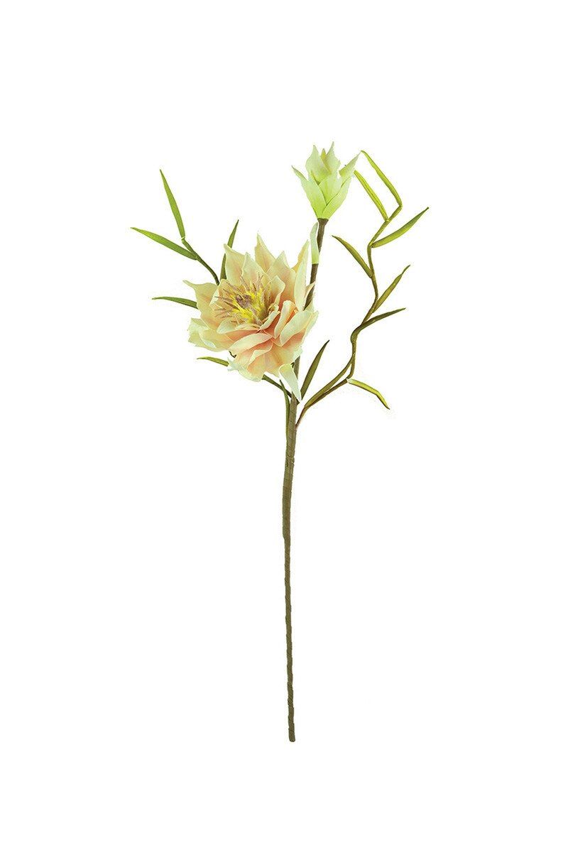 Botanica #2749 Botanica #2749