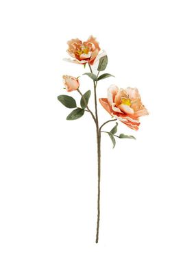 Botanica #2750
