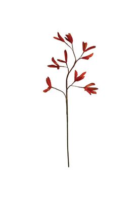 Botanica #2752