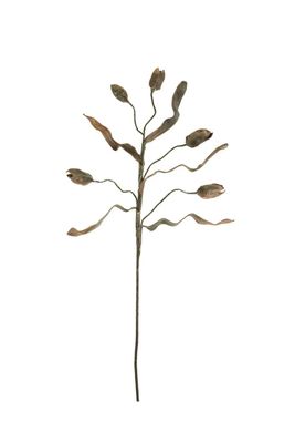 Botanica #2758