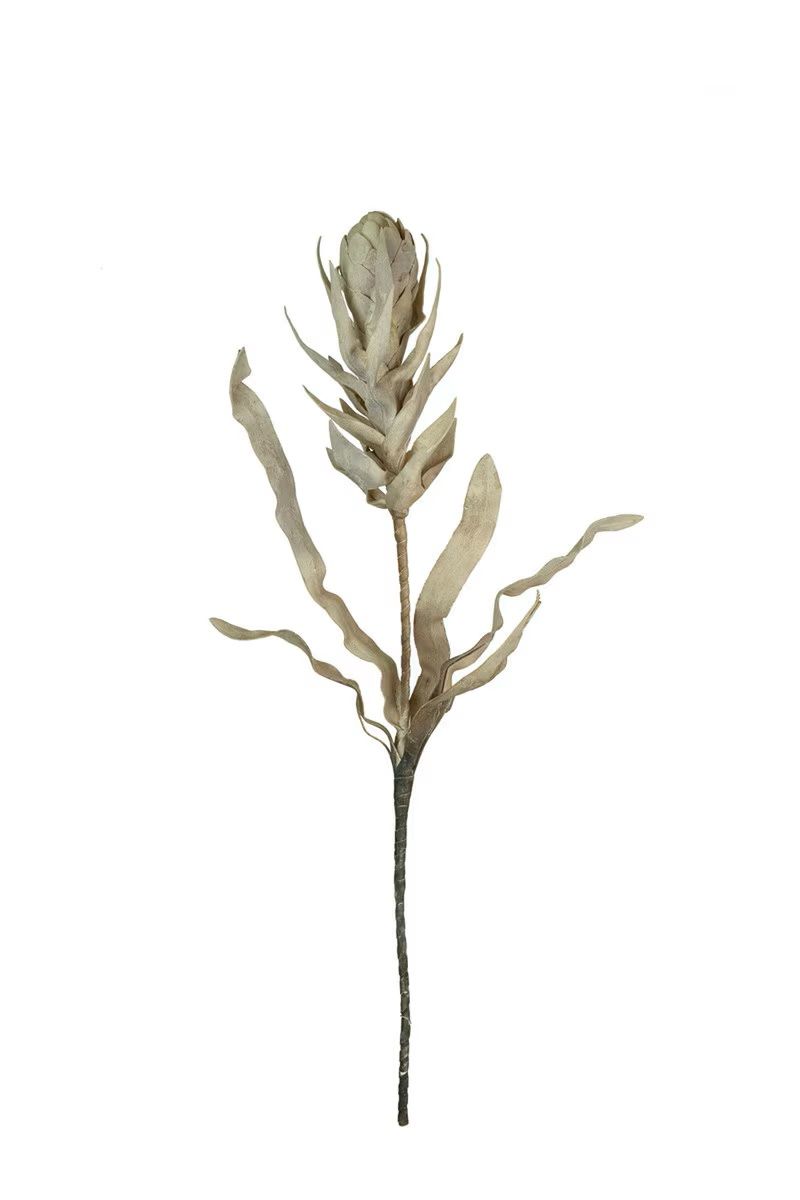 Botanica #2755