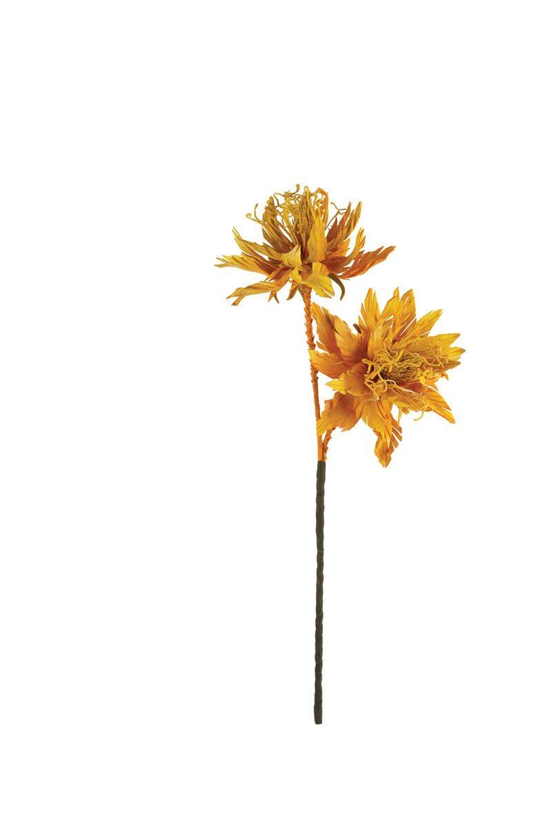 Botanica #2781 Botanica #2781