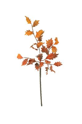 Botanica #2766