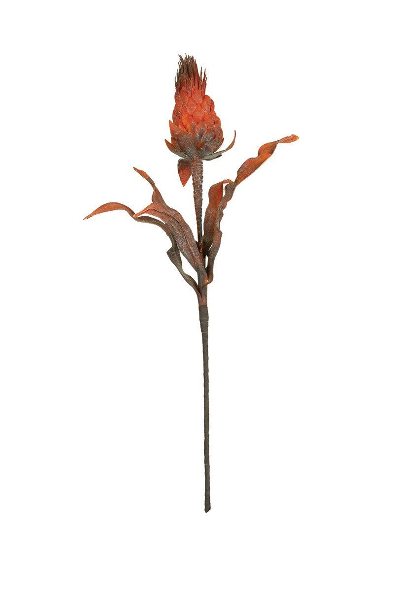 Botanica #2784 Botanica #2784