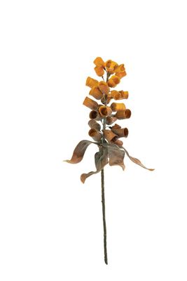 Botanica #2775 Botanica #2775