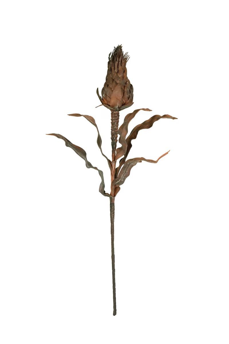 Botanica #2783