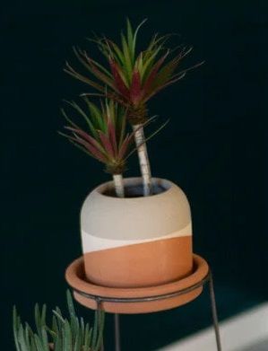 Color Dipped Clay Pot w/Metal Base - Gray