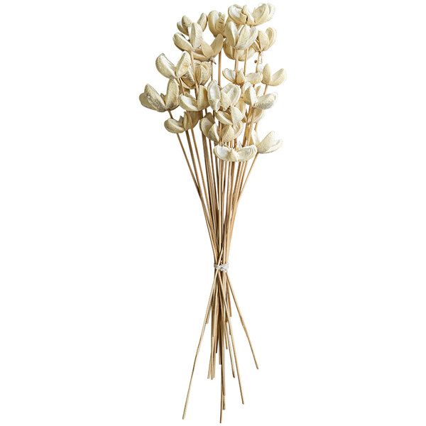 Bundle of 24 Bleached Bullet Flowers Bundle of 24 Bleached Bullet Flowers