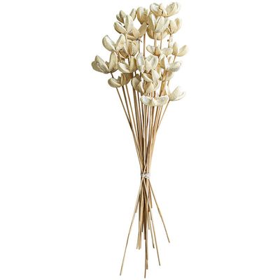 Bundle of 24 Bleached Bullet Flowers Bundle of 24 Bleached Bullet Flowers