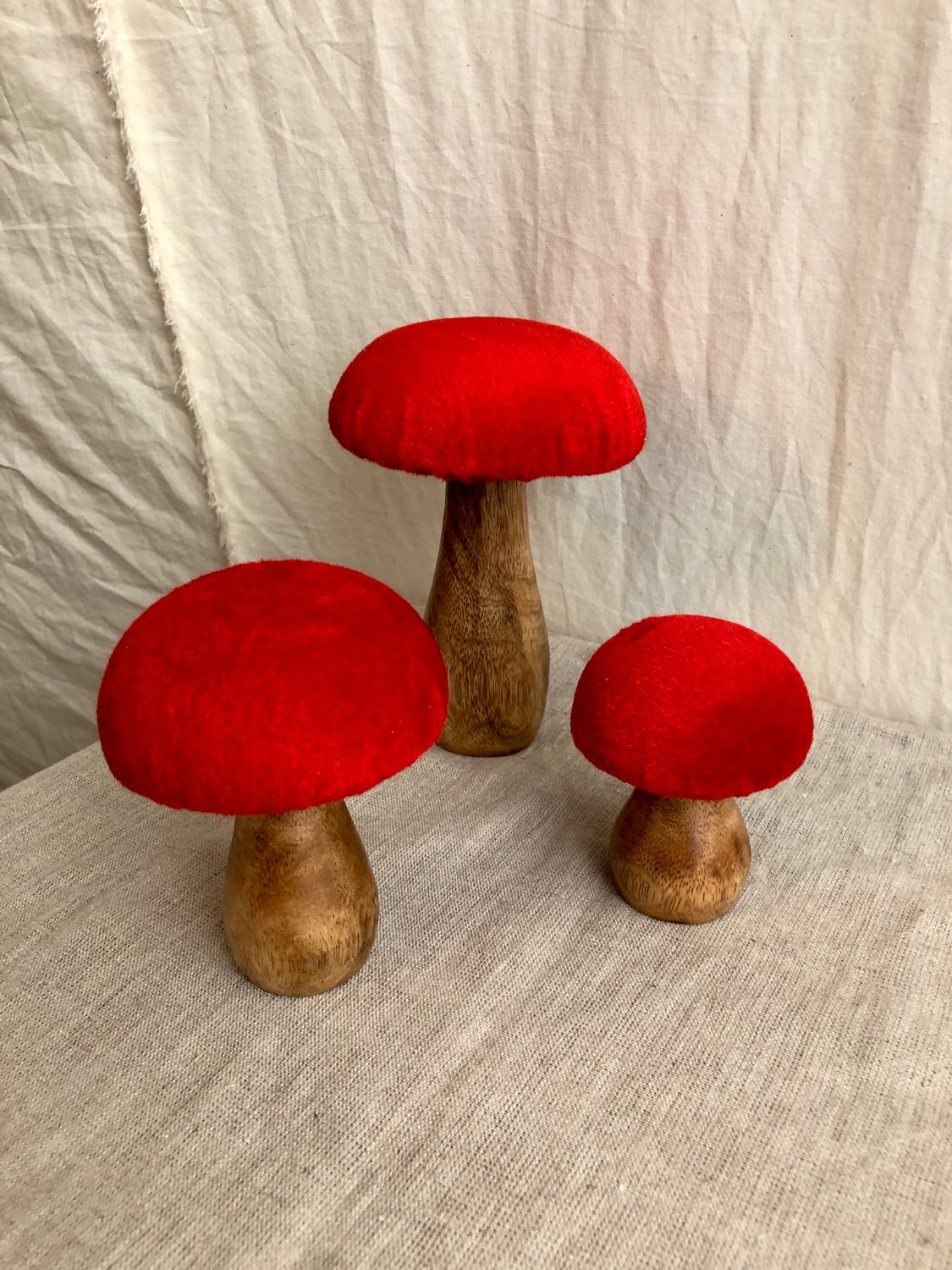 Red Velvet Mushroom Lg Red Velvet Mushroom Lg
