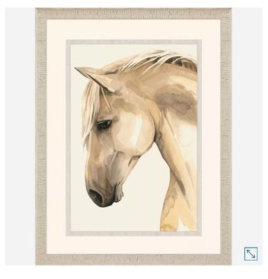 Golden Palimino II  35&quot; x 47&quot;T