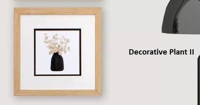 Decorative Plant II  12&quot; x 12&quot;T