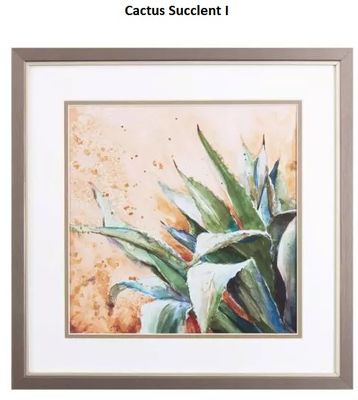 Cactus Succulent  I  17&quot; x 17&quot;T