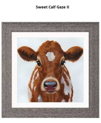 Sweet Calf Gaze II   17&quot; x 17&quot;T