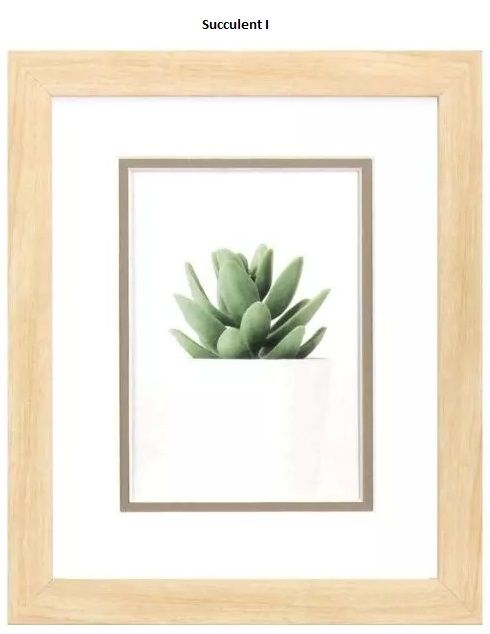 Succulent I  10&quot; x 12&quot;T