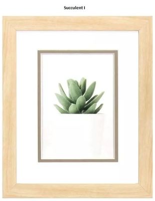Succulent I  10&quot; x 12&quot;T