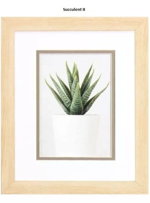 Succulent II  10&quot; x 12&quot;T