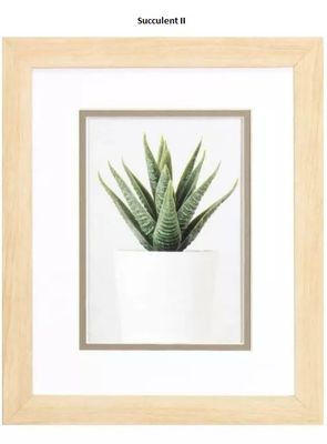 Succulent II  10&quot; x 12&quot;T