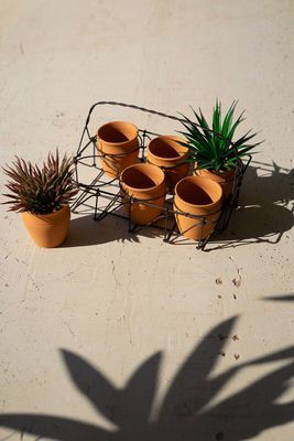 Six Clay Pots in Wire Basket