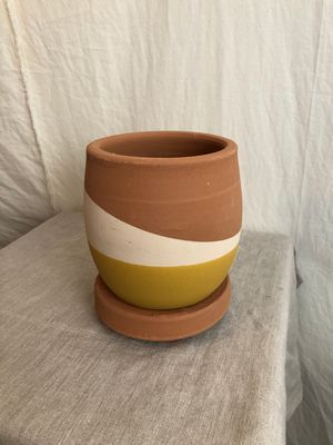 Double-Dipped Clay Pot w/Drip Tray - Yellow