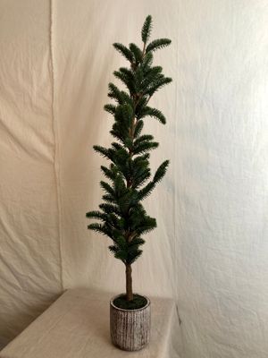 Artificial Pine Tree in Cement Pot Med