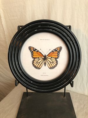 Round Framed Butterfly Print Under Glass II