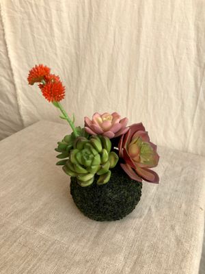 Artificial Succulent in a Moss Ball Base II