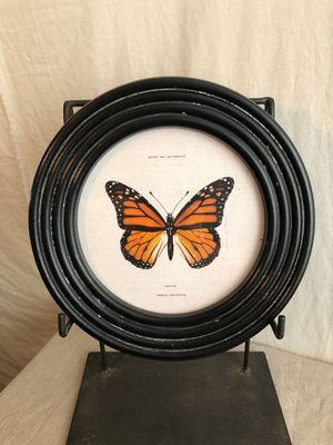 Round Framed Butterfly Print Under Glass III
