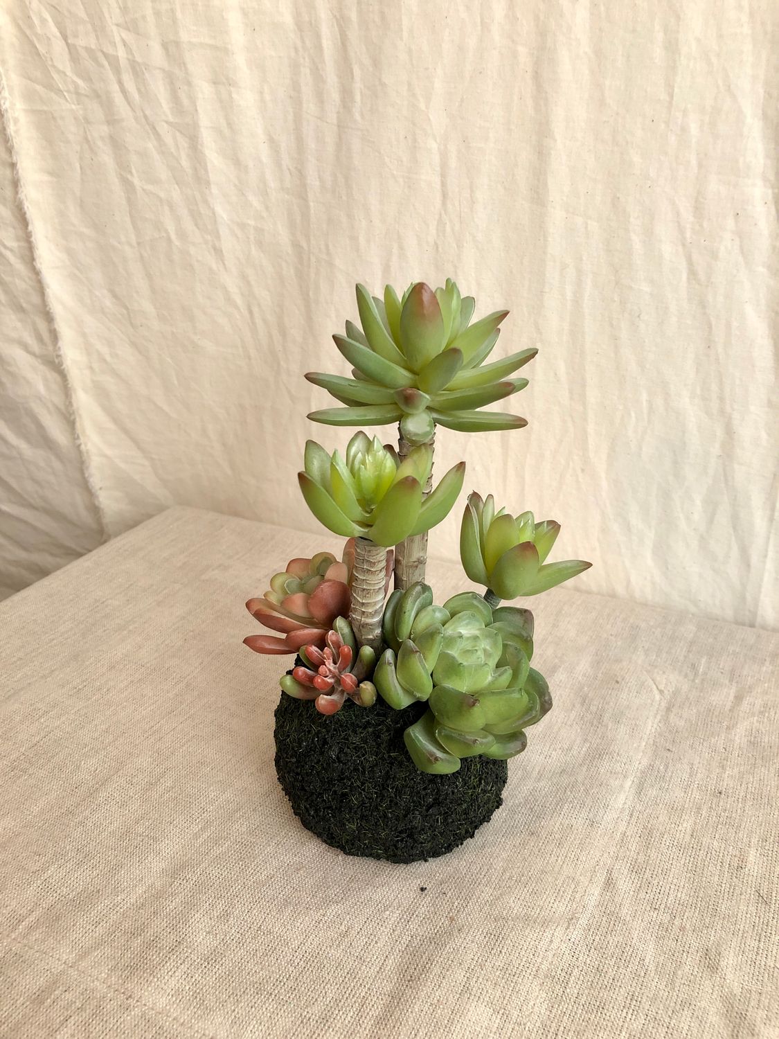 Artificial Succulent in a Moss Ball Base III
